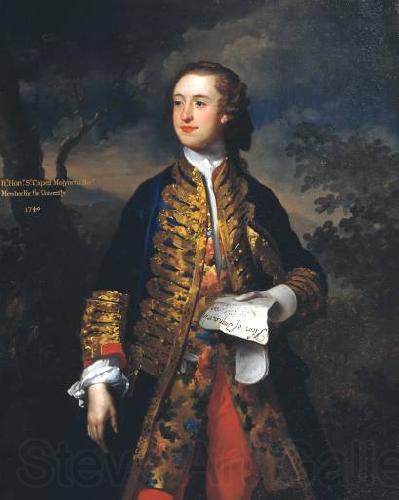 James Latham Portrait of Sir Capel Molyneux Spain oil painting art